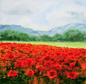 Red_Poppy_Field